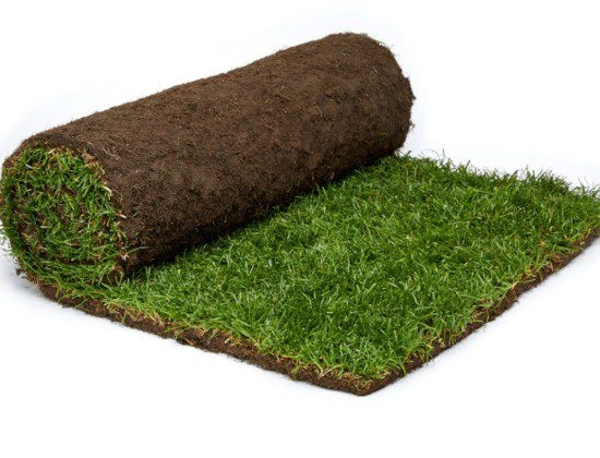 artificial grass